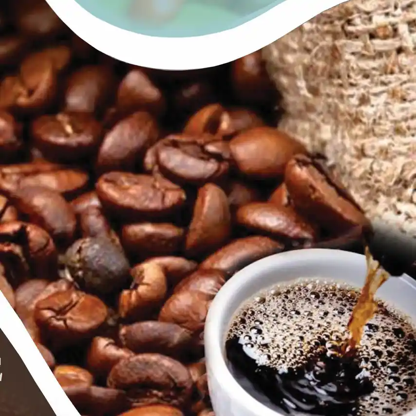 Gedeo highlands — coffee farmers at Adame Gorbota cooperative