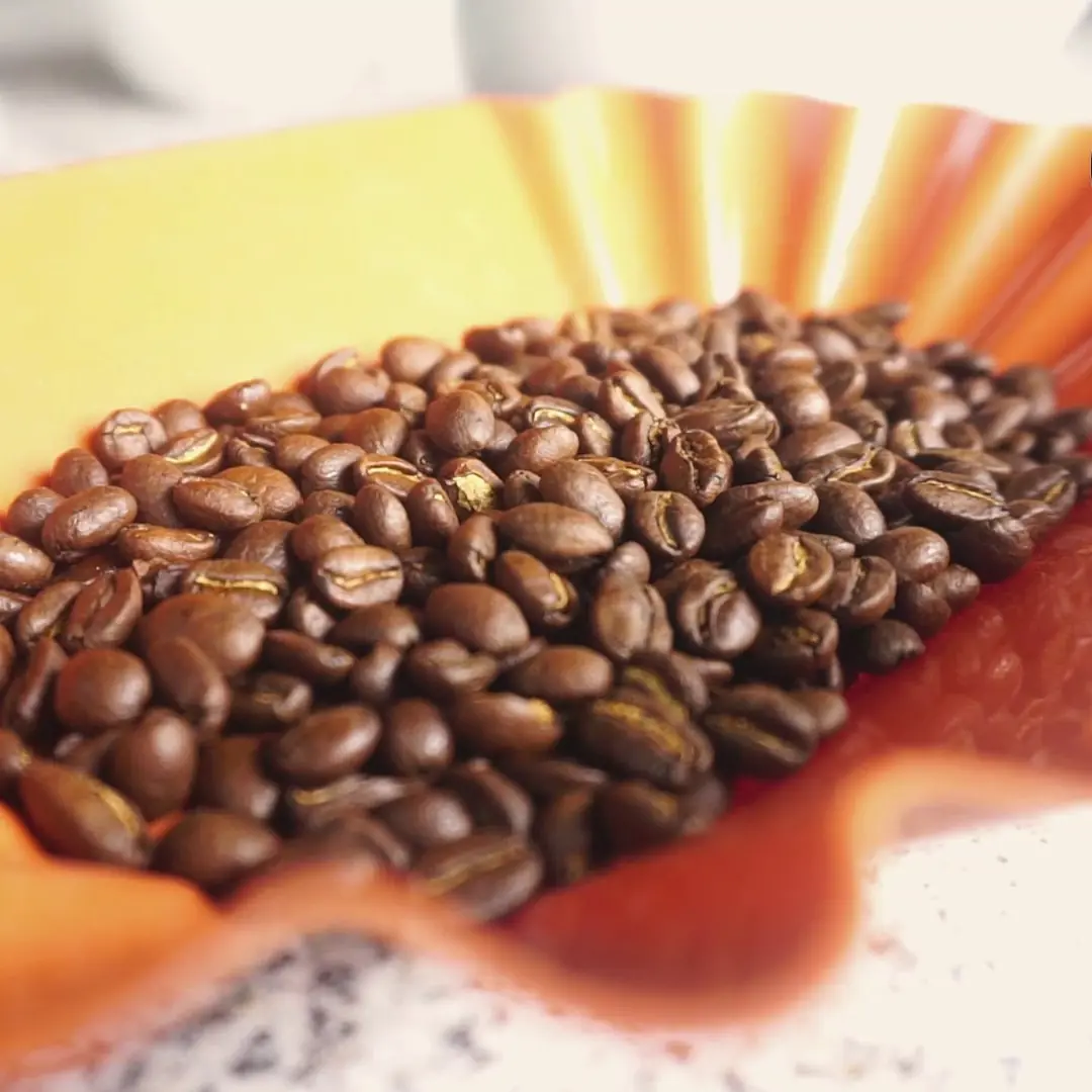 Roasted Yirgacheffe coffee beans
