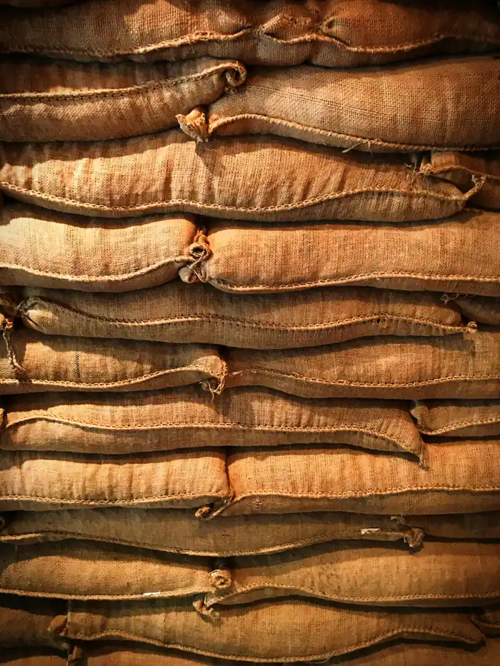 Yirgacheffe cooperative farmers — community hands at work